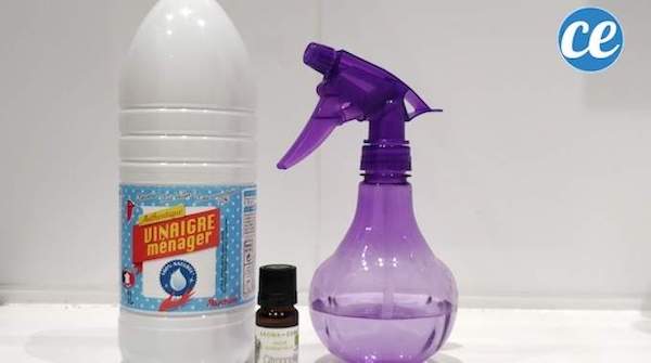 Recette du désodorisant fait maison mieux que Febreze