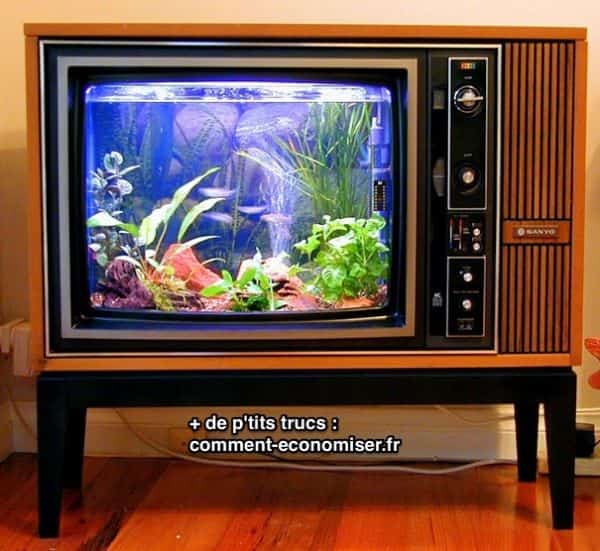 Vieille télé recyclée en aquarium