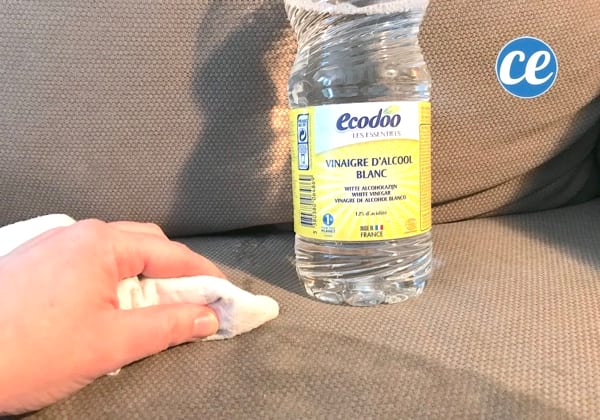 Le vinaigre blanc nettoie les taches de pipi de chat ou de chien et désodorise