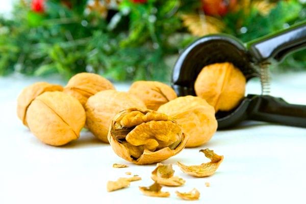 Peut-on congeler les noix ? Et la farine de blé ? 