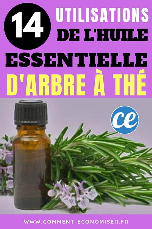 Huile Essentielle d'Arbre à Thé : 14 Bienfaits Pour la Santé.