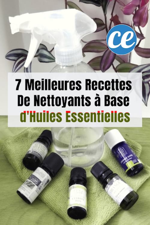 Mes 7 Meilleures Recettes De Nettoyants Faits Maison à Base d'Huiles Essentielles. Facile et rapide à faire !