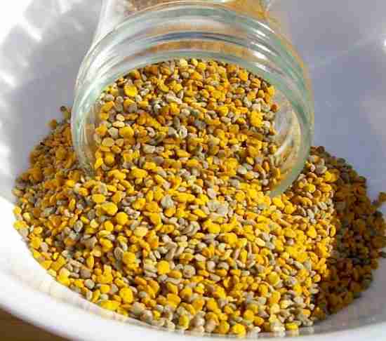 cure de propolis comment faire et quand