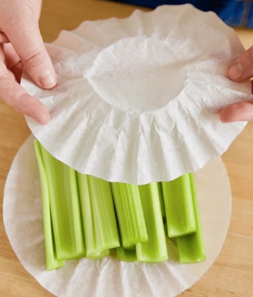 filtre à café pour conserver céléri croquant