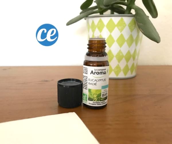 remède pour déboucher le nez avec de l'huile essentielle d'eucalyptus