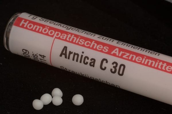 l'arnica soulage la douleur des chiens et des chats