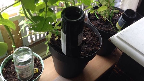 L'astuce pour arroser les plantes quand on part