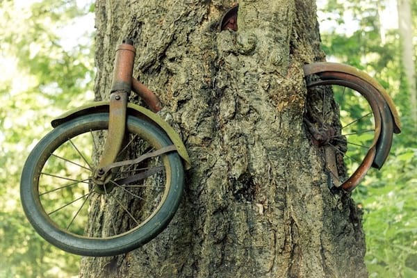 le citron et le gros sel enlèvent les taches de rouille