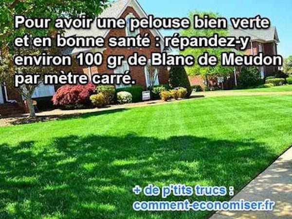 comment avoir pelouse bien verte blanc de meudon