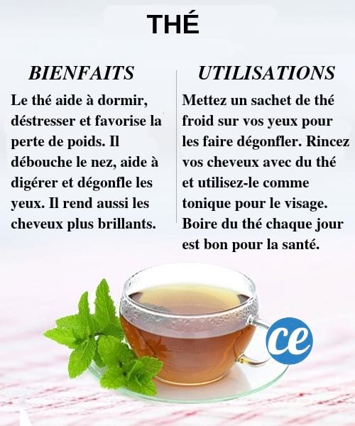 Découvrez les bienfaits et utilisations du thé pour la santé et le corps