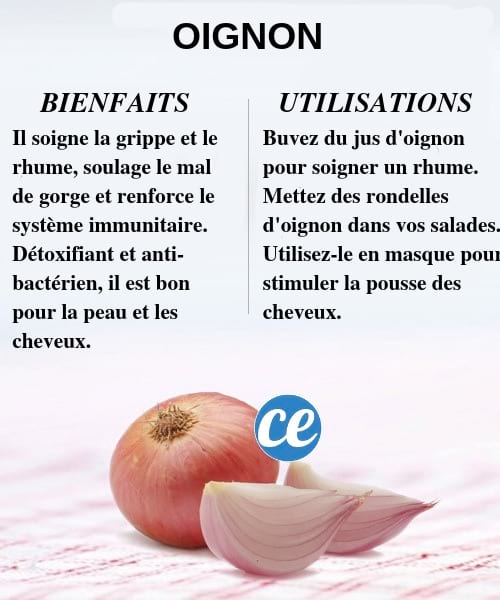 Découvrez les bienfaits et utilisations des oigons pour la santé et le corps