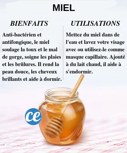 Découvrez les bienfaits et utilisations du miel pour la santé et le corps