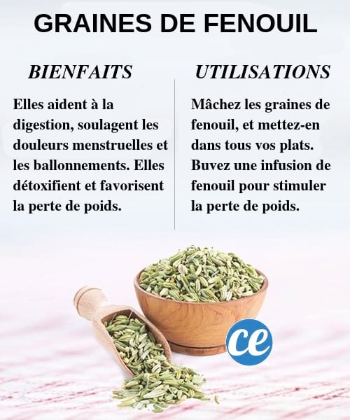 Découvrez les bienfaits et utilisations des graines de fenouil pour la santé et le corps