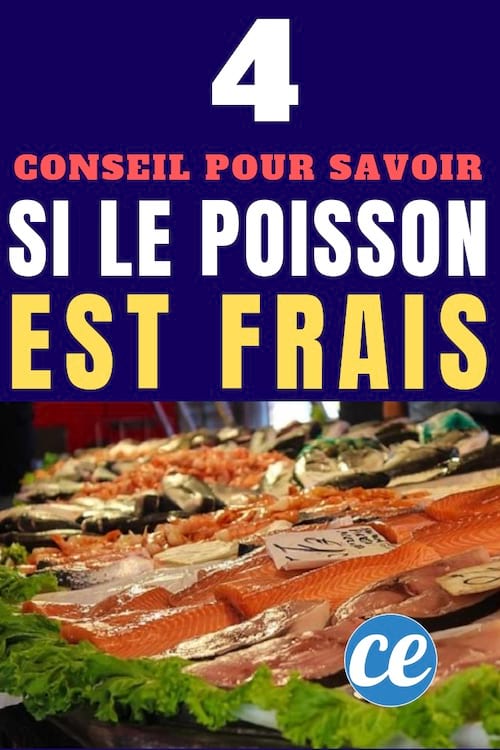 5 trucs à savoir pour bien choisir son saumon frais 