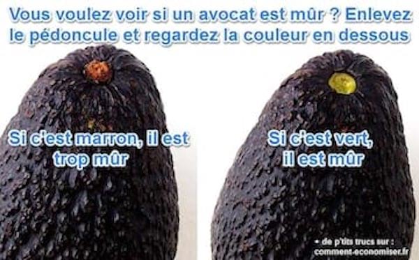 Comment savoir si un avocat est mur