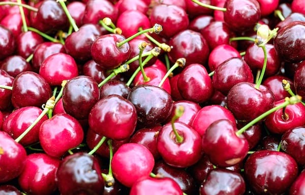 découvrez les bienfaits des cerises sur le sommeil