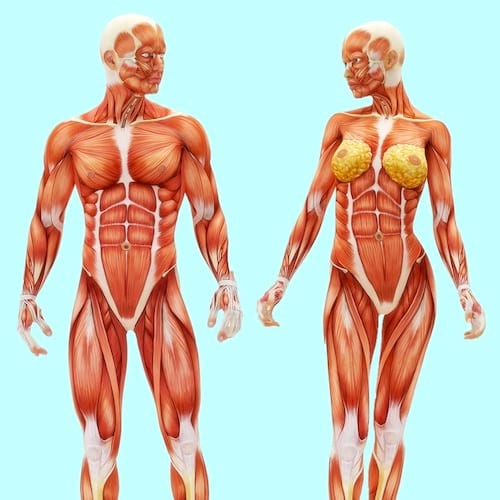 la marche tonifie les muscles et aide à mincir