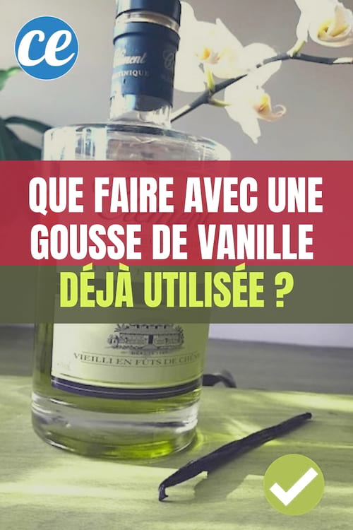 Que Faire Avec Une Gousse De Vanille Déjà Utilisée ? L'Astuce De Mon Pâtissier.