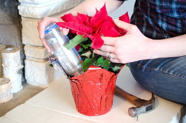Astuce jardinage : arrosez les plantes avec une bouteille en plastique lorsque vous êtes en vacances.