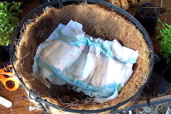 Couche de bébé à l’intérieur des pots de fleurs suspendus pour empêcher l'eau de couler.