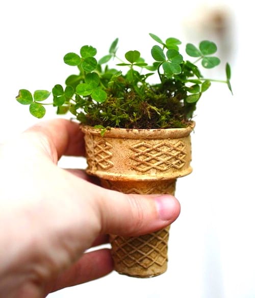 Astuce jardinage : utilisez des vieux cornets à glace comme pots de plantation biodégradables