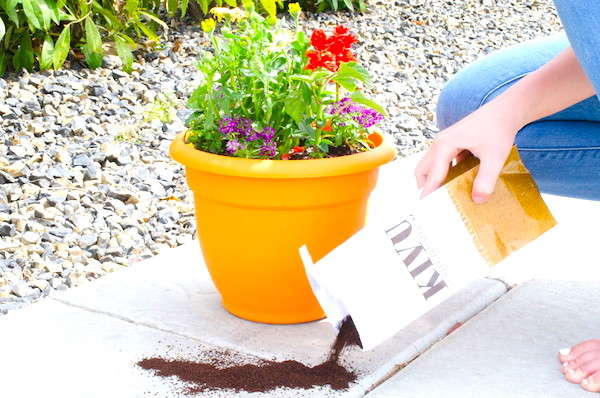 Astuce jardinage : utilisez du marc de café pour naturellement garder à l’écart les limaces et autres nuisiblesPar