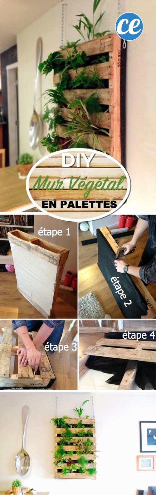 Tuto pour mur végétal fait avec une palette