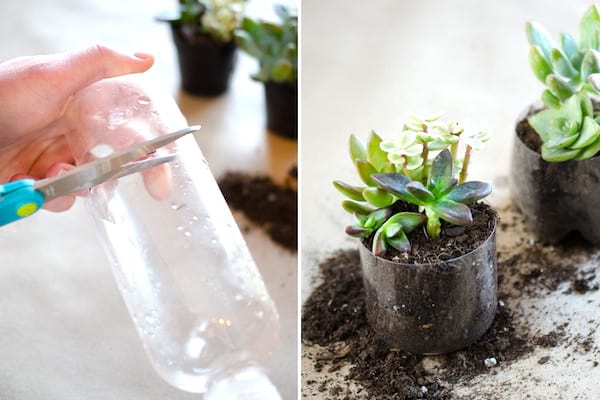 Astuce jardinage : faites un pot de fleurs pas cher avec une bouteille en plastique