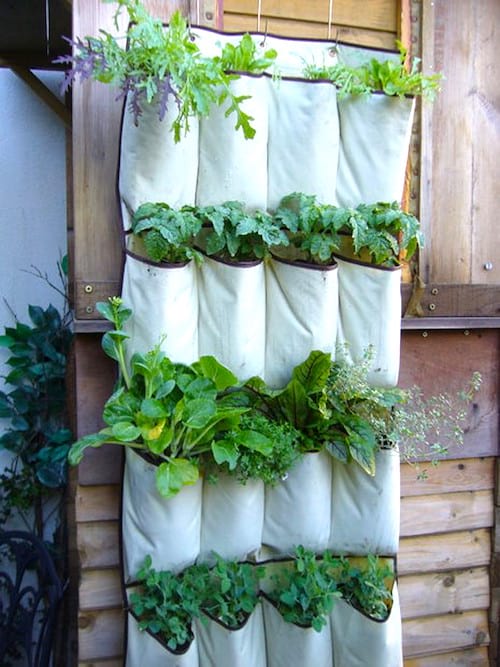 Astuce jardinage : transformez un rangement suspendu en tissu en jardin vertical.