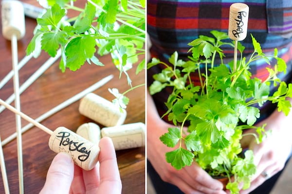 Astuce jardinage : faites de superbes étiquettes de potager avec des vieux bouchons en liège.