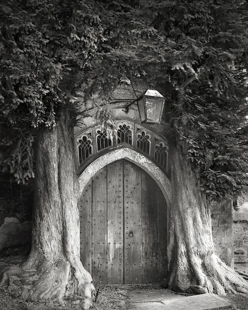 2 troncs d'arbres autour d'une vieille porte en bois