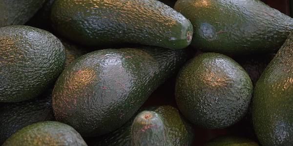 Saviez-vous que manger de l'avocat peut vous aider à perdre du poids ?