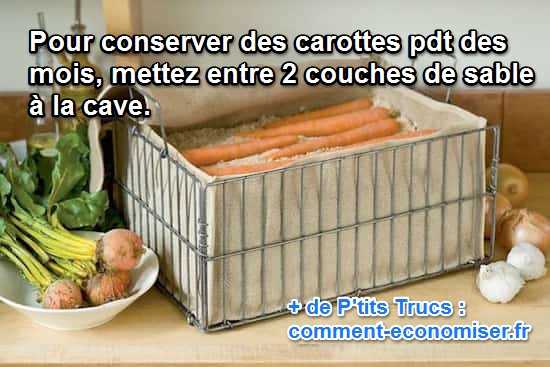 Les carottes se conservent bien dans le sable