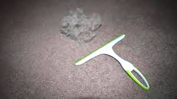 comment enlever les poils d'animaux facilement