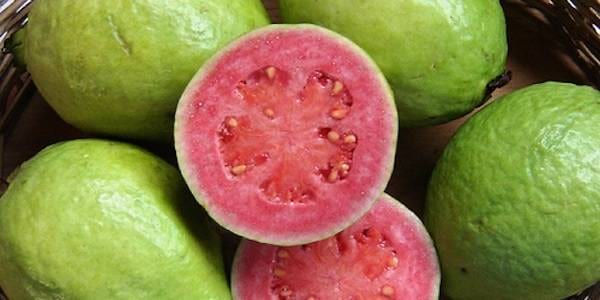 Manger de la goyave pour faciliter la perte de poids