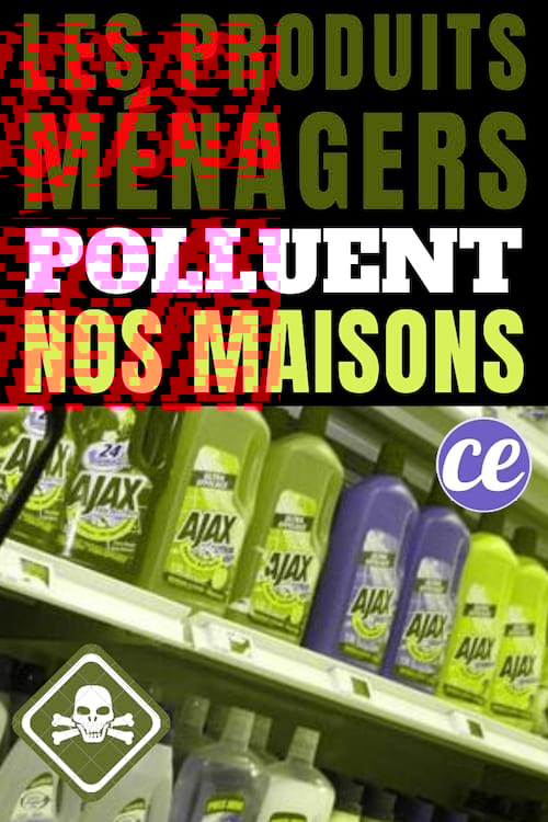 Les produits ménagers sont des pollueurs pour la maison