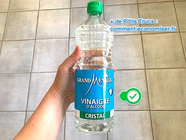 utilisez du vinaigre blanc pour chasser les fourmis