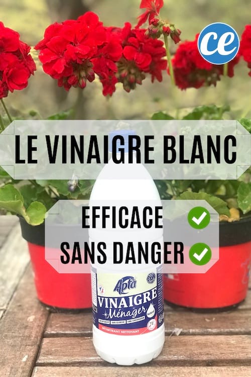 Le vinaigre blanc est un produit multiusage efficace et naturel sans danger