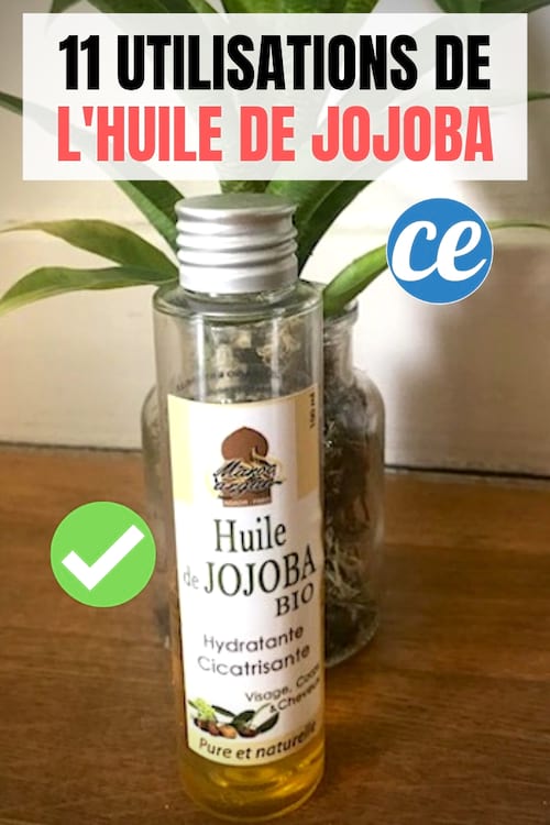 11 Utilisations De L'Huile De Jojoba Que Tout Le Monde Devrait Connaître.