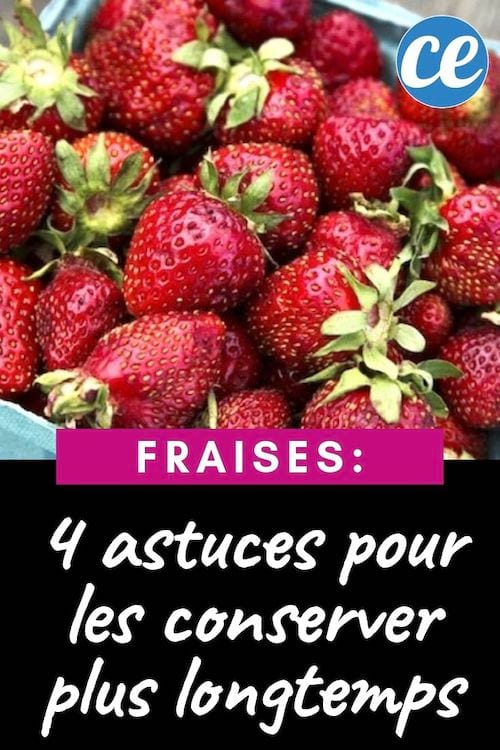 Comment conserver les fraises plus longtemps ? Nos 4 astuces naturelles et efficaces
