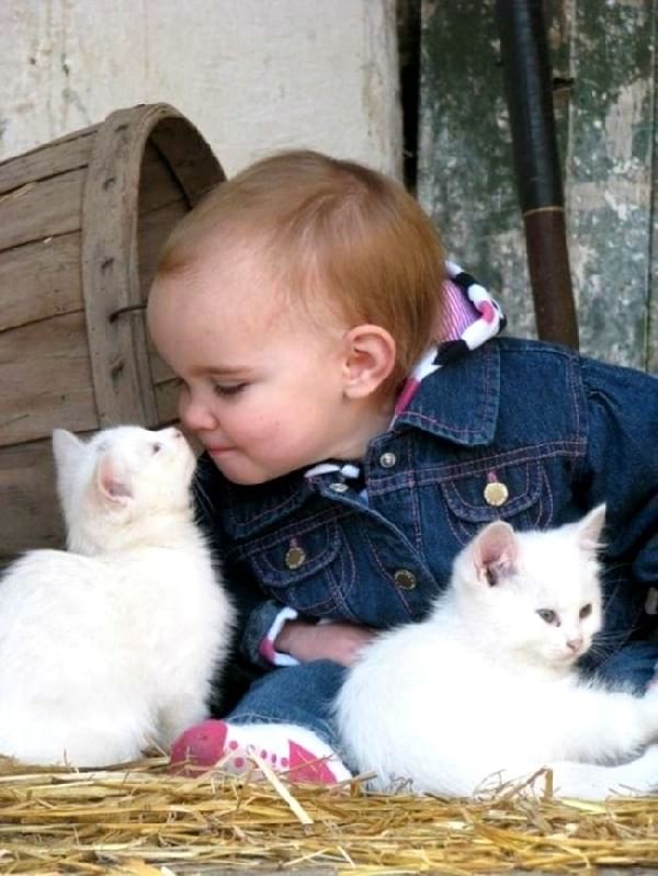 Bébé avec des petits chats