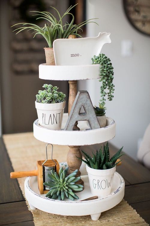 composition plante grasse pièce montée