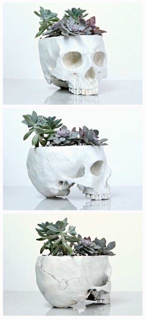 cache-pot tête de mort