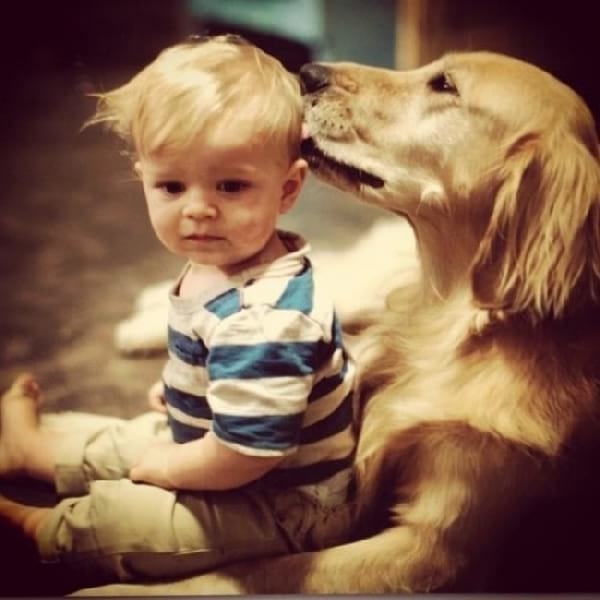 Chien qui lèche un enfant sur la tête