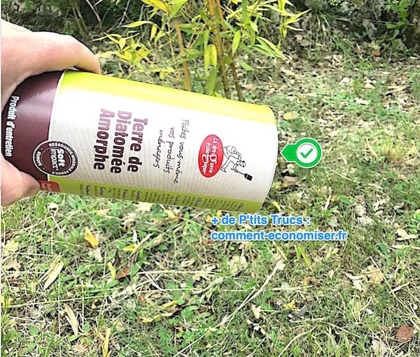 L'astuce pour se débarrasser des larves des aoutats avec de la terre de diatomée