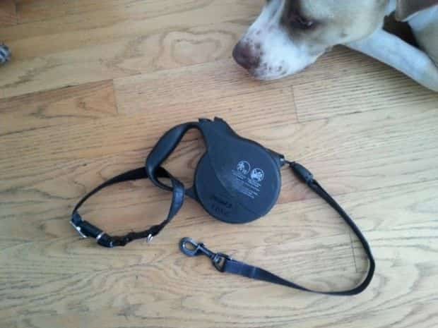 Astuce pour se servir des 2 mains quand on tient son chien en laisse