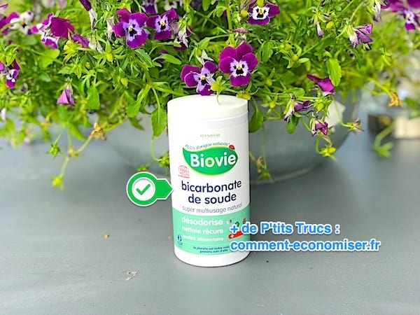 Le bicarbonate élimine les odeurs de transpiration.