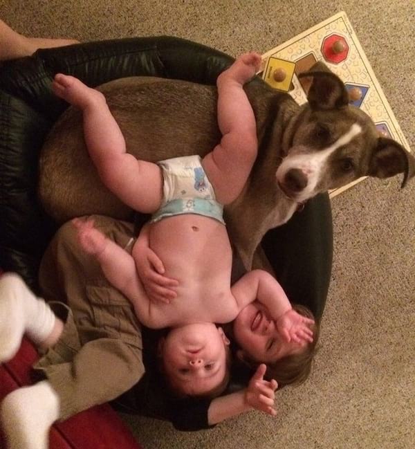 2 enfants qui sont dans un panier avec leur chien