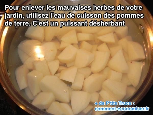 Enlever les mauvaises du jardin avec l'eau de cuisson des pommes de terre