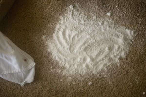 Mettez du bicarbonate de soude pour enlever tache et odeur de pipi de chien